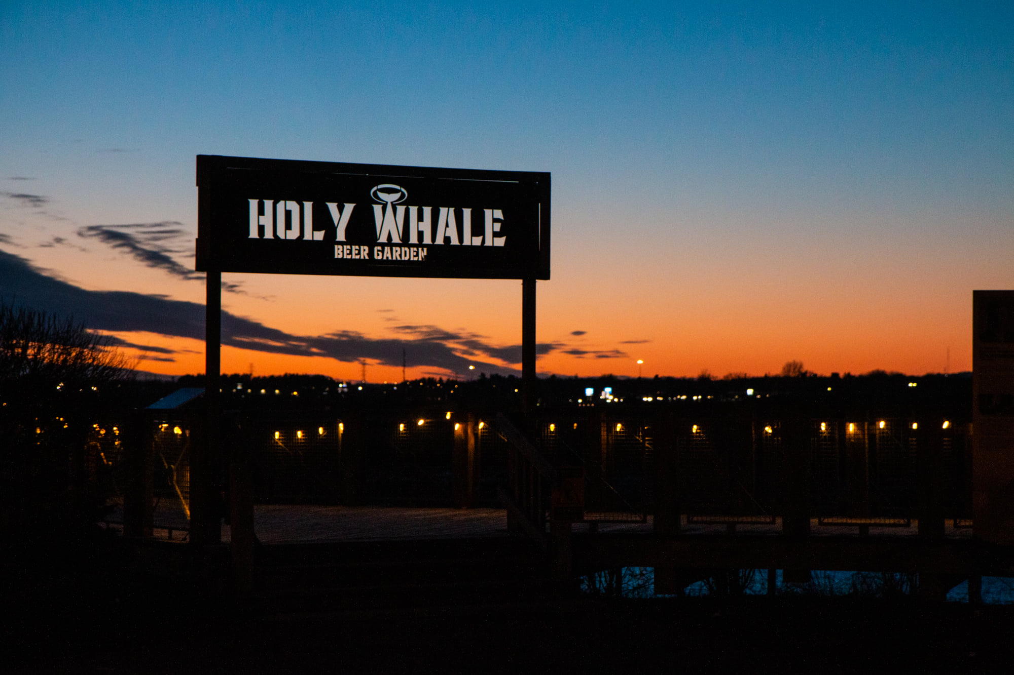 Andrew Moore | Holy Whale